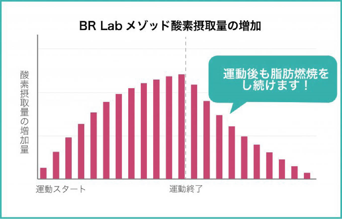 最新機器を使用したウェイトトレーニング