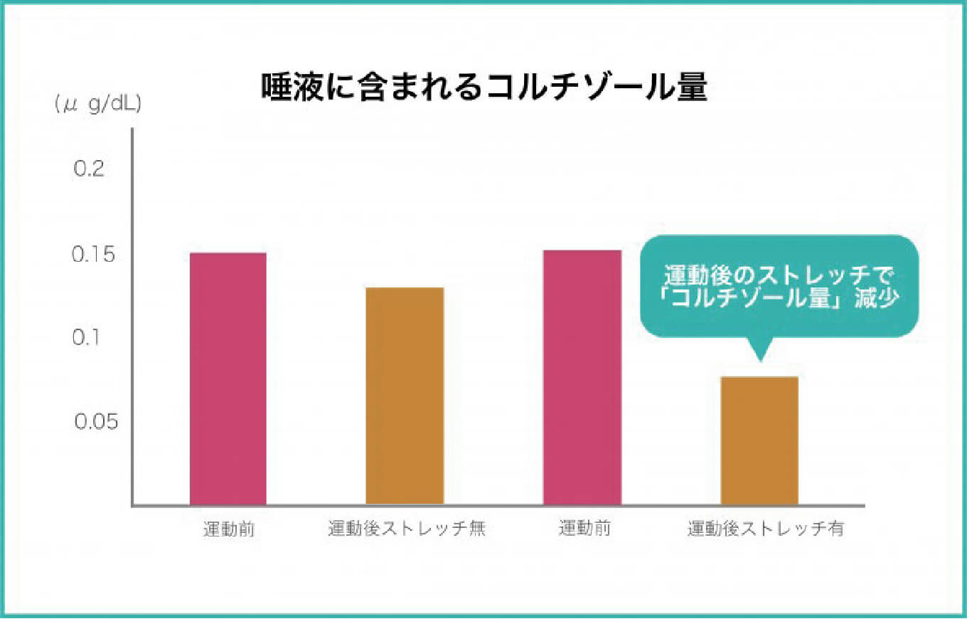 ストレッチ